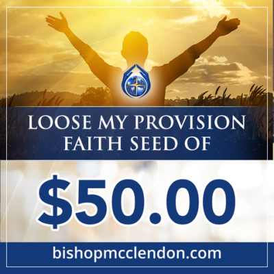 loose my provision faith seed of