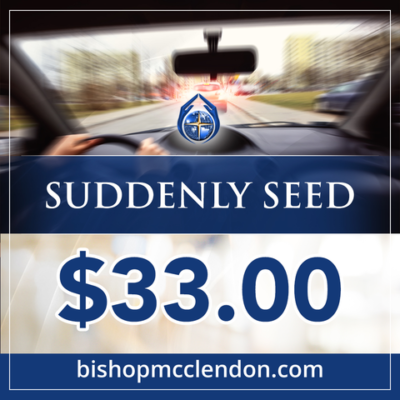 $33.00 SUDDENLY SEED