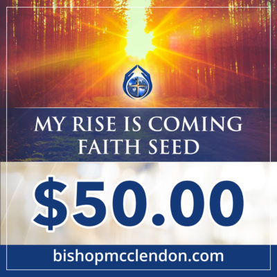 my rise is coming faith seed