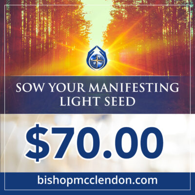 sow your manifesting light seed