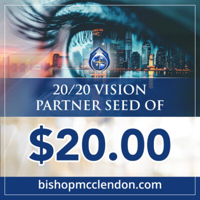 20/20 VISION SEED